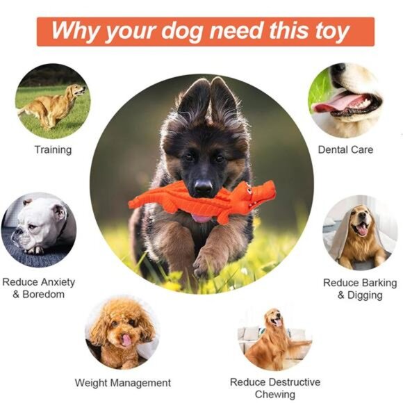 Squeaky Dog Toys for Aggressive Chewers, Durable Dog Toys Natural - Picture 7 of 7